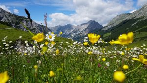 Naturbestattung